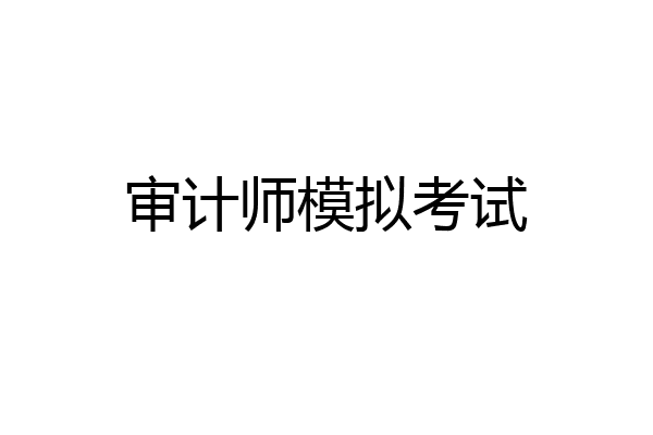 审计师模拟考试