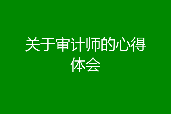 关于审计师的心得体会