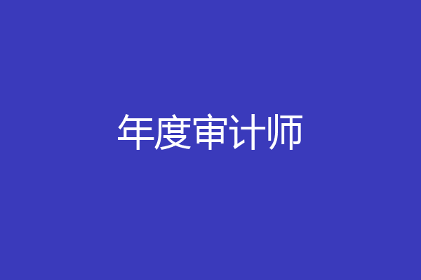 年度审计师