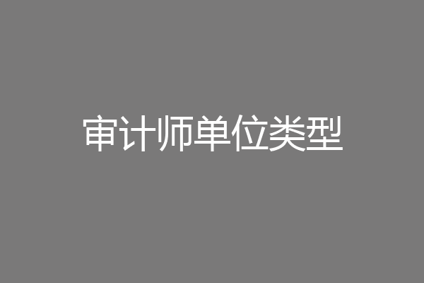 审计师单位类型