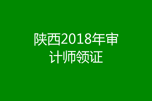 陕西2018年审计师领证