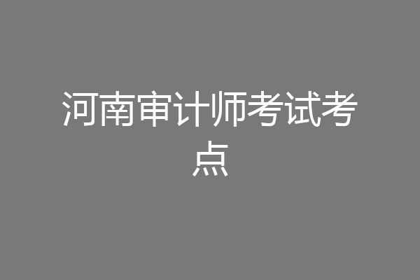 河南审计师考试考点