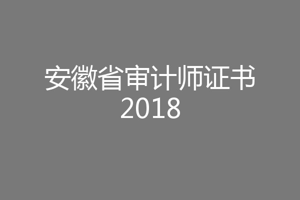 安徽省审计师证书2018