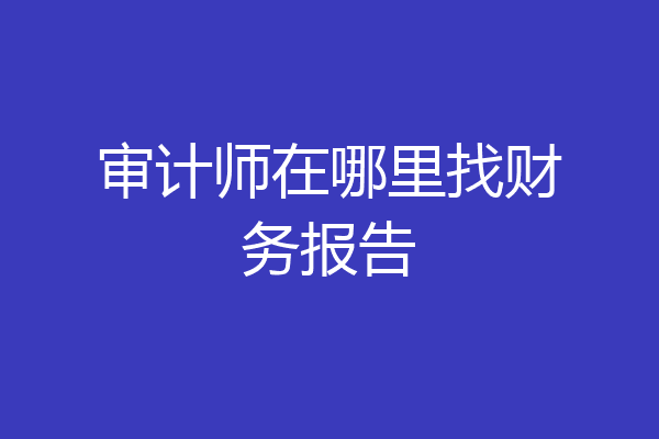 审计师在哪里找财务报告