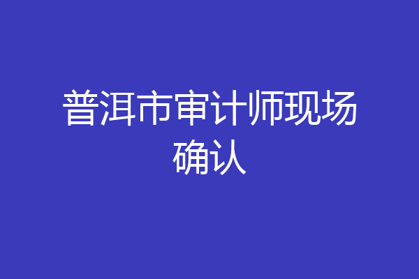 普洱市审计师现场确认