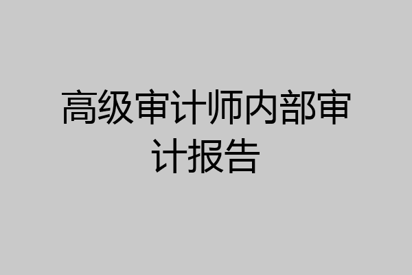 高级审计师内部审计报告