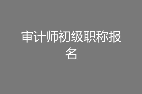 审计师初级职称报名