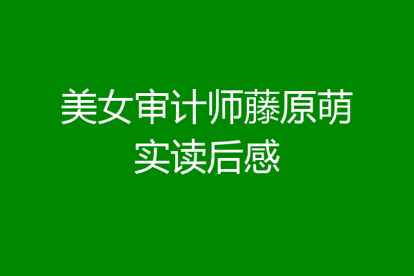 美女审计师藤原萌实读后感