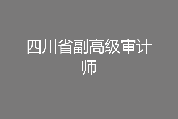 四川省副高级审计师