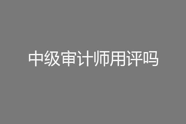 中级审计师用评吗