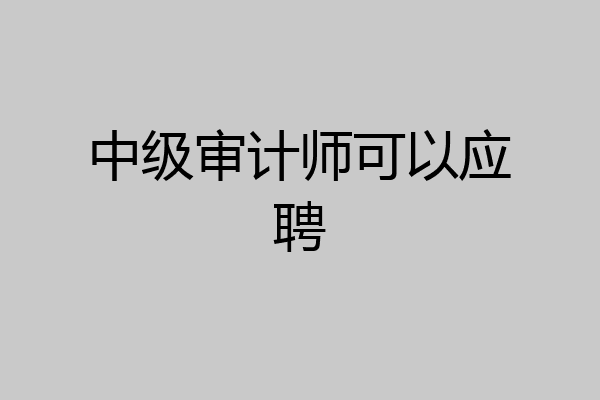 中级审计师可以应聘