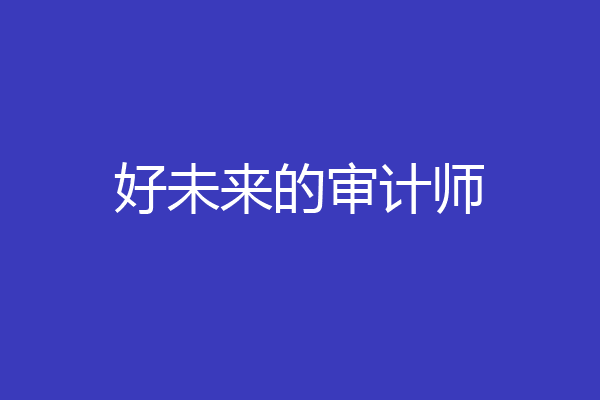 好未来的审计师