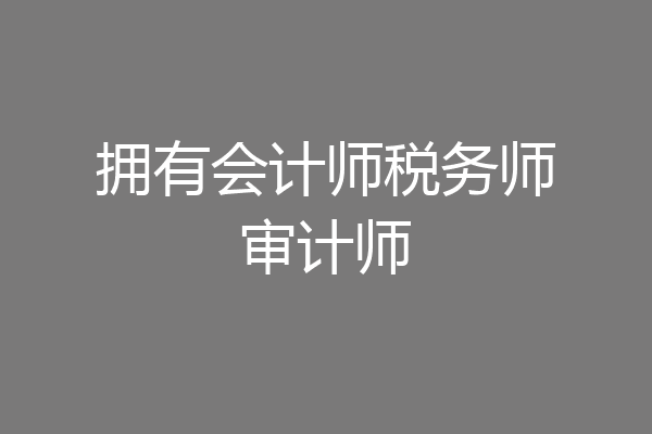 拥有会计师税务师审计师