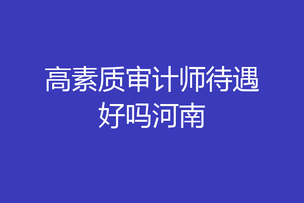 高素质审计师待遇好吗河南