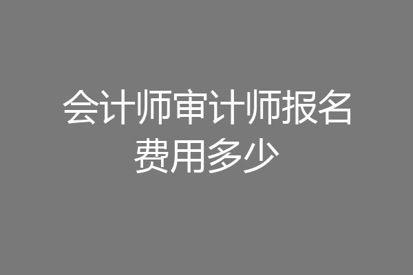 会计师审计师报名费用多少