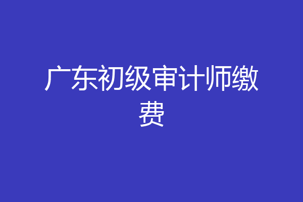 广东初级审计师缴费