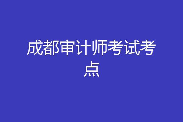 成都审计师考试考点