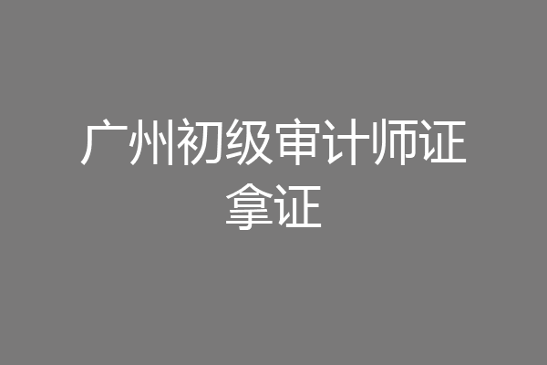 广州初级审计师证拿证