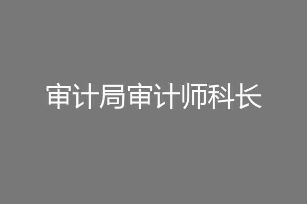审计局审计师科长