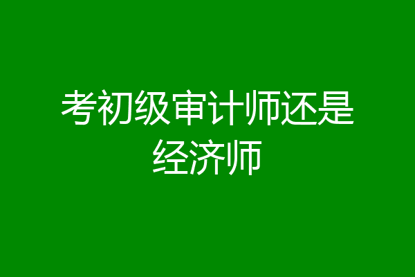考初级审计师还是经济师