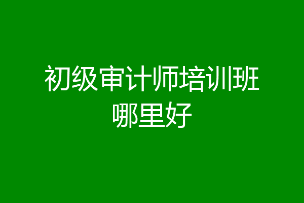 初级审计师培训班哪里好