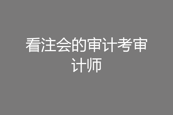 看注会的审计考审计师