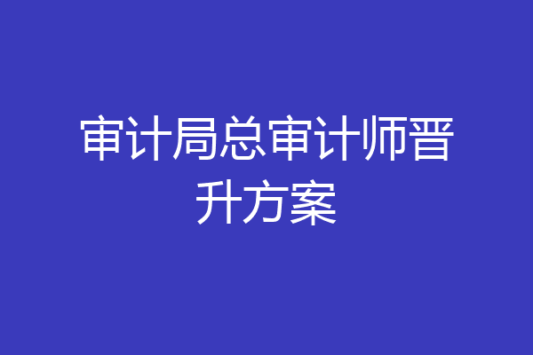 审计局总审计师晋升方案