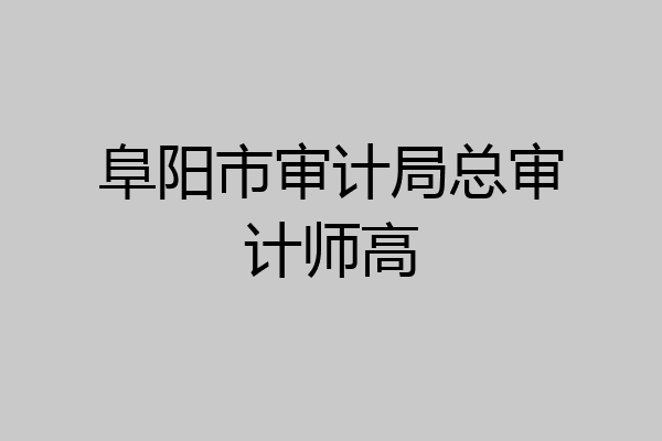 阜阳市审计局总审计师高