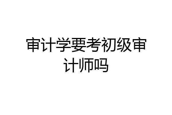 审计学要考初级审计师吗