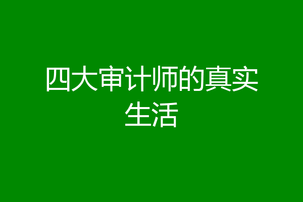 四大审计师的真实生活