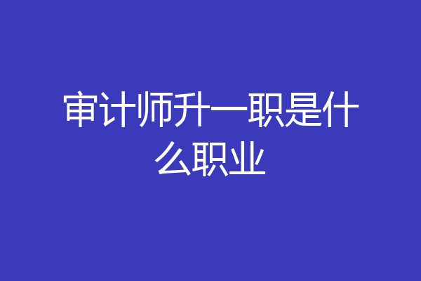 审计师升一职是什么职业