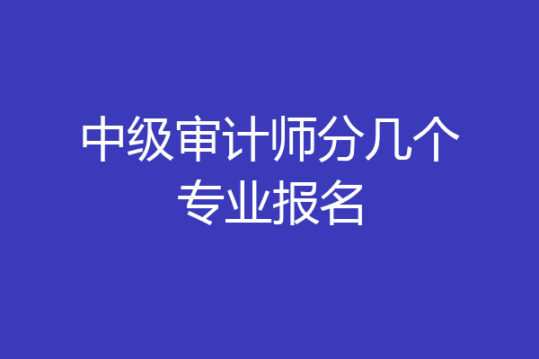 中级审计师分几个专业报名