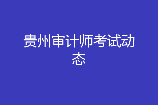 贵州审计师考试动态