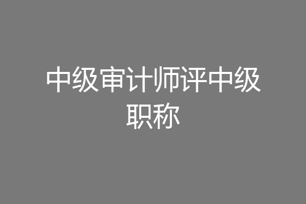 中级审计师评中级职称