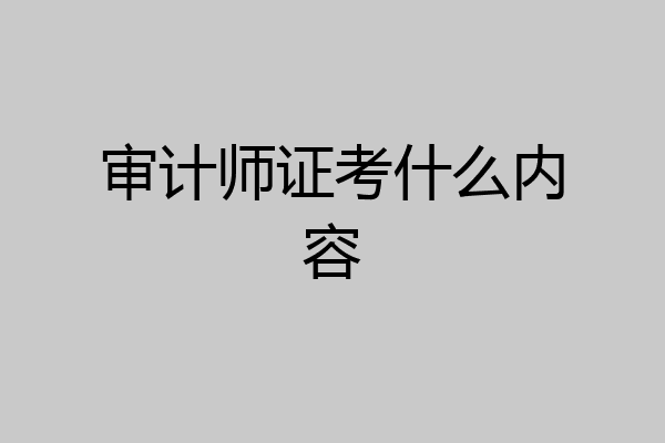 审计师证考什么内容