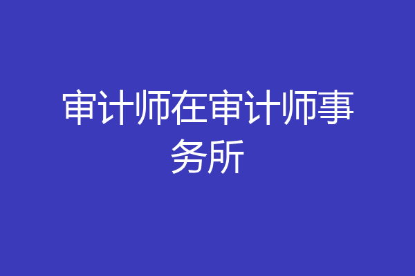 审计师在审计师事务所