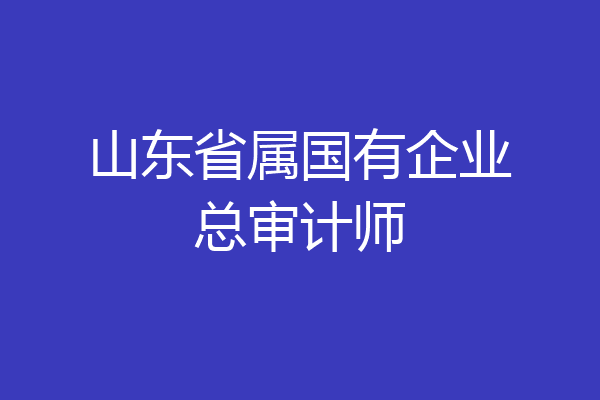 山东省属国有企业总审计师