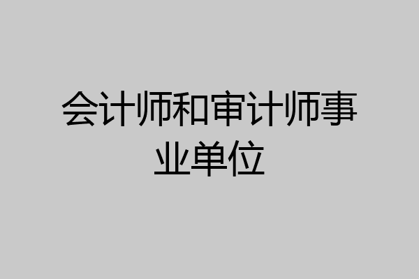 会计师和审计师事业单位