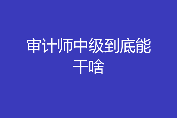 审计师中级到底能干啥