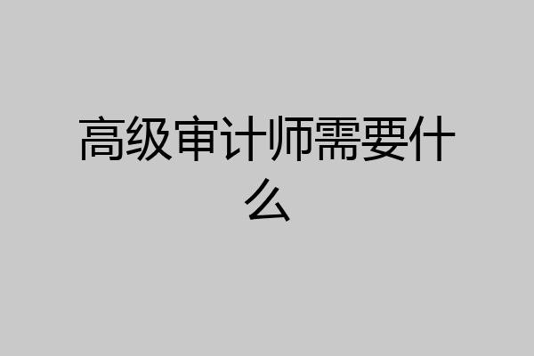 高级审计师需要什么