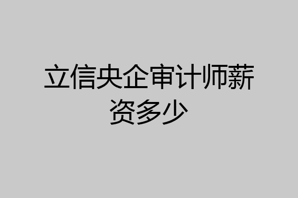 立信央企审计师薪资多少