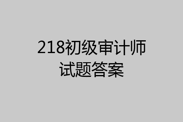 218初级审计师试题答案