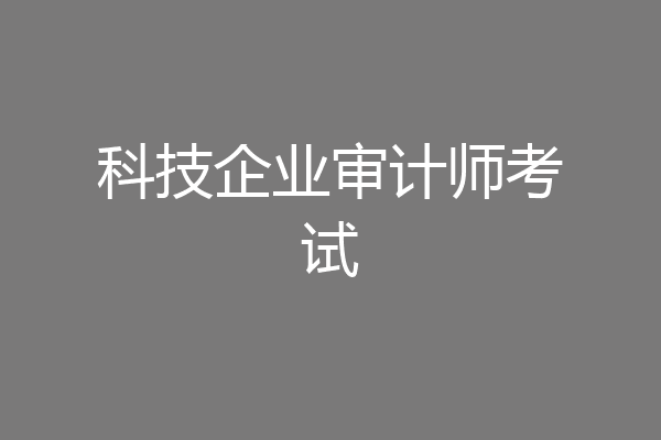 科技企业审计师考试
