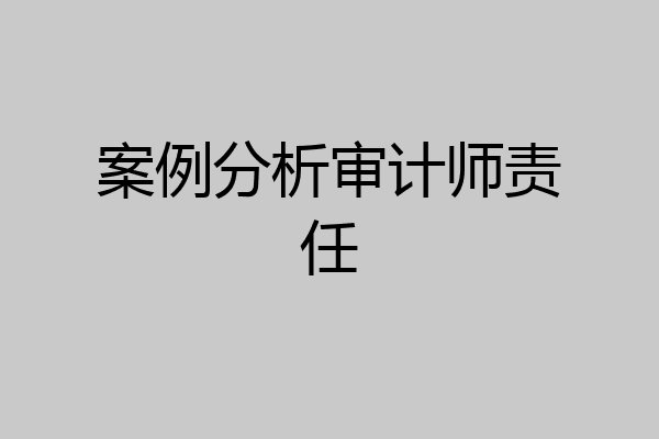 案例分析审计师责任