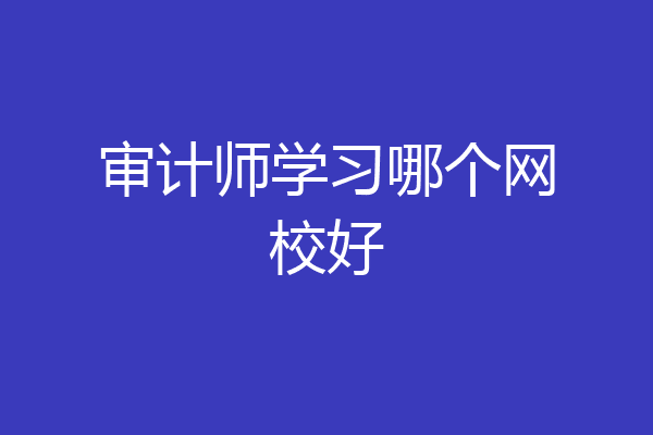 审计师学习哪个网校好