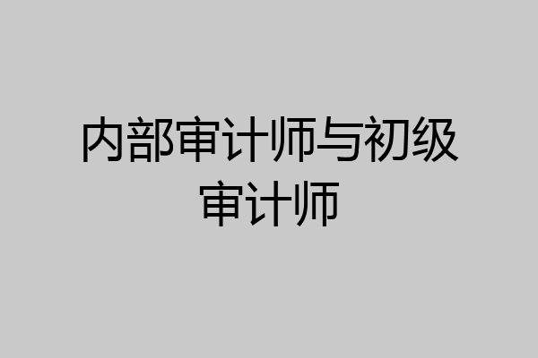 内部审计师与初级审计师