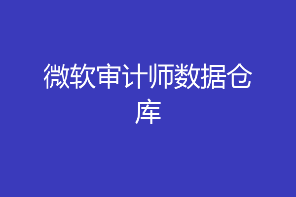 微软审计师数据仓库