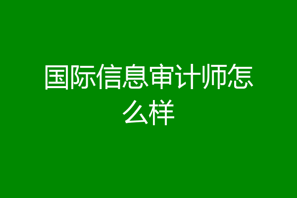 国际信息审计师怎么样