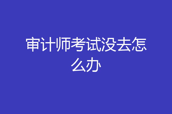 审计师考试没去怎么办