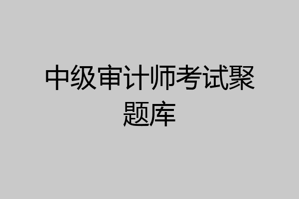 中级审计师考试聚题库